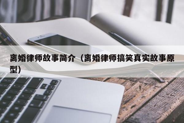 离婚律师故事简介（离婚律师搞笑真实故事原型）  第1张