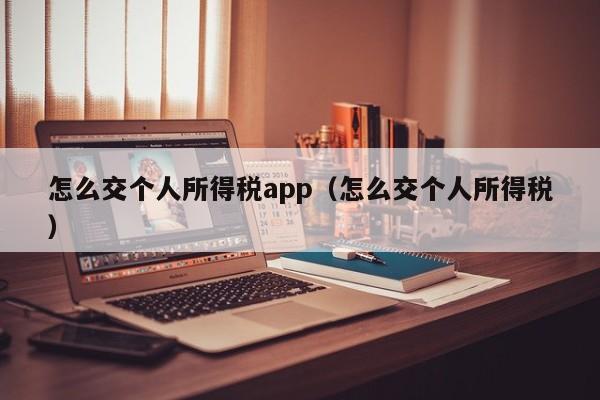 怎么交个人所得税app（怎么交个人所得税）  第1张