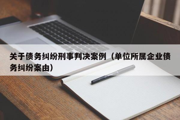 关于债务纠纷刑事判决案例（单位所属企业债务纠纷案由）  第1张