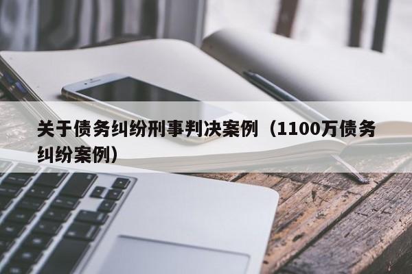 关于债务纠纷刑事判决案例（1100万债务纠纷案例）  第1张