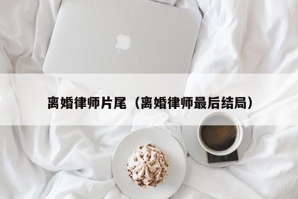 离婚律师片尾（离婚律师最后结局）  第1张