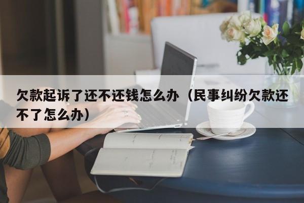 欠款起诉了还不还钱怎么办（民事纠纷欠款还不了怎么办）  第1张