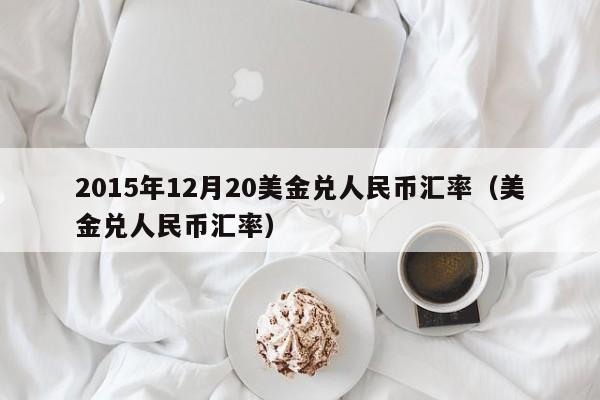 2015年12月20美金兑人民币汇率（美金兑人民币汇率）  第1张