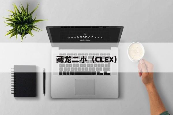 藏龙二小（CLEX）  第1张