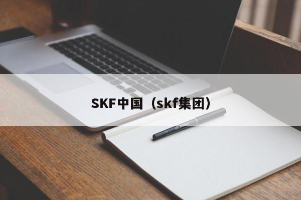 SKF中国（skf集团）  第1张