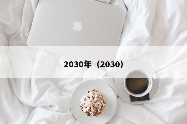 2030年（2030）  第1张