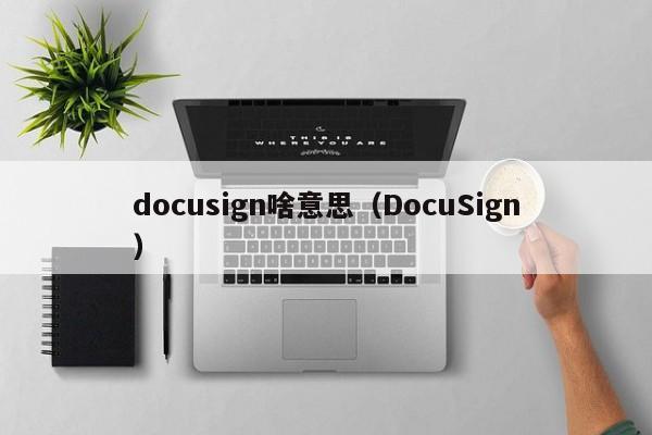 docusign啥意思（DocuSign）  第1张