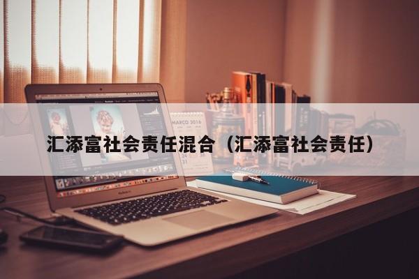 汇添富社会责任混合（汇添富社会责任）  第1张