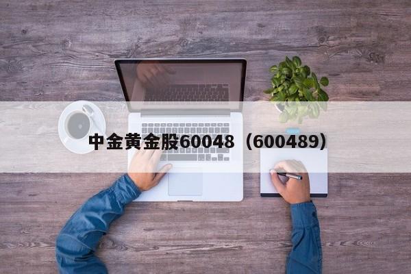 中金黄金股60048（600489）  第1张