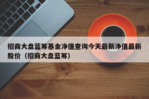 招商大盘蓝筹基金净值查询今天最新净值最新股价（招商大盘蓝筹）  第1张