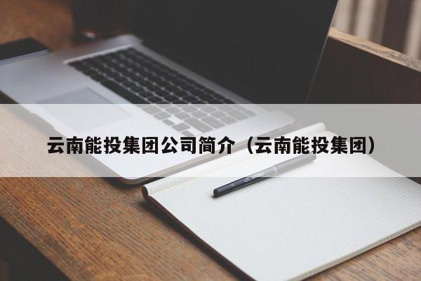 云南能投集团公司简介（云南能投集团）  第1张