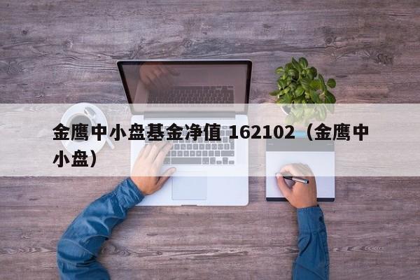 金鹰中小盘基金净值 162102（金鹰中小盘）  第1张