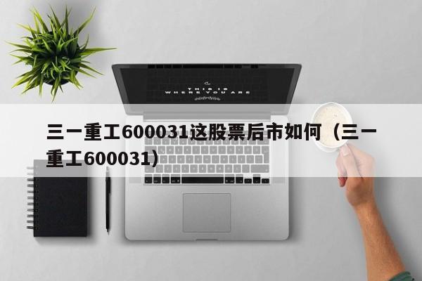 三一重工600031这股票后市如何（三一重工600031）  第1张