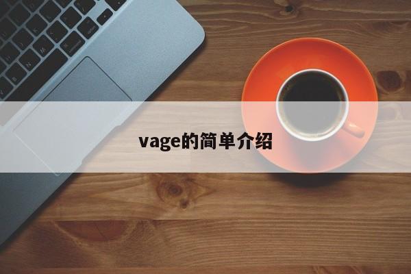 vage的简单介绍  第1张