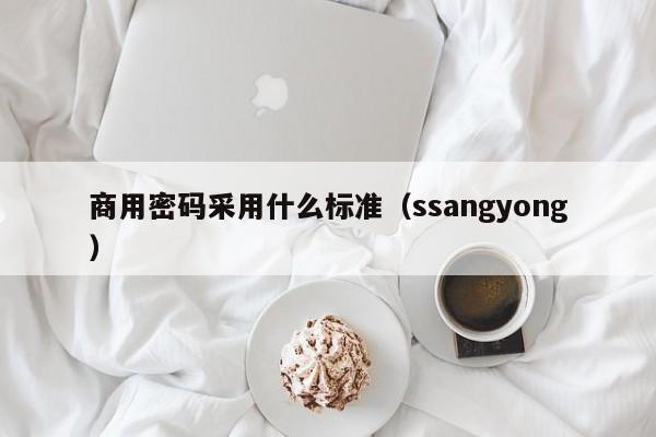 商用密码采用什么标准（ssangyong）  第1张