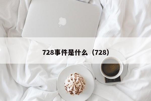 728事件是什么（728）  第1张