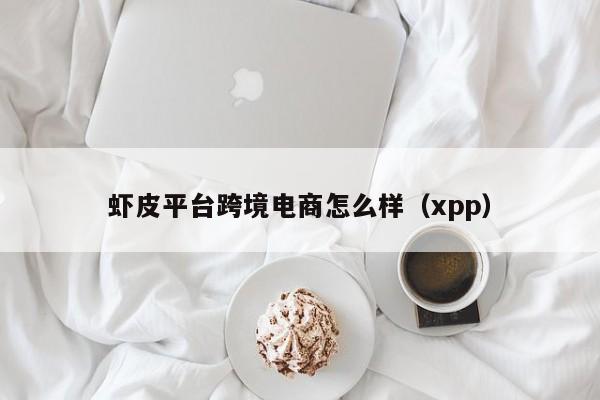 虾皮平台跨境电商怎么样（xpp）  第1张