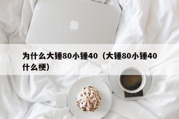 为什么大锤80小锤40（大锤80小锤40什么梗）  第1张