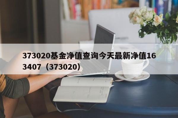 373020基金净值查询今天最新净值163407（373020）  第1张