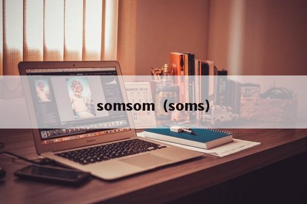 somsom（soms）  第1张