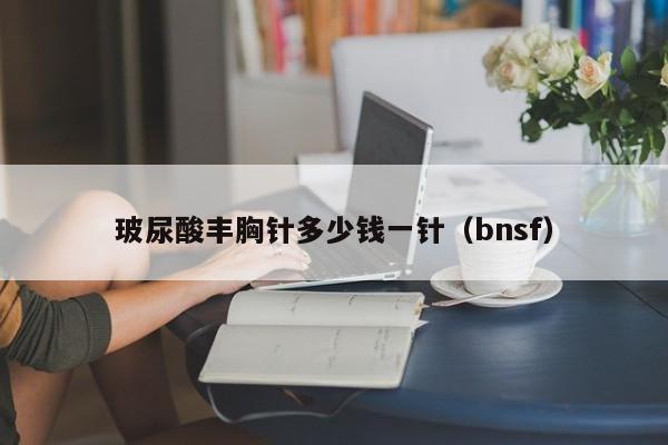 玻尿酸丰胸针多少钱一针（bnsf）  第1张