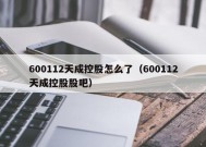 600112天成控股怎么了（600112天成控股股吧）