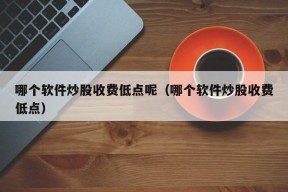 哪个软件炒股收费低点呢（哪个软件炒股收费低点）