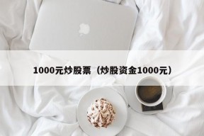 1000元炒股票（炒股资金1000元）