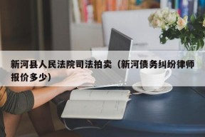 新河县人民法院司法拍卖（新河债务纠纷律师报价多少）