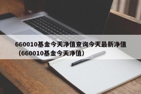 660010基金今天净值查询今天最新净值（660010基金今天净值）