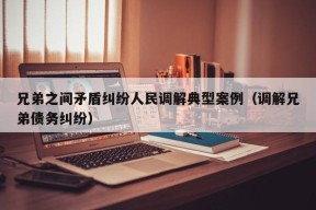 兄弟之间矛盾纠纷人民调解典型案例（调解兄弟债务纠纷）