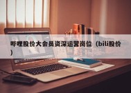 哔哩股价大会员资深运营岗位（bili股价）