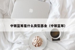 中银蓝筹是什么类型基金（中银蓝筹）