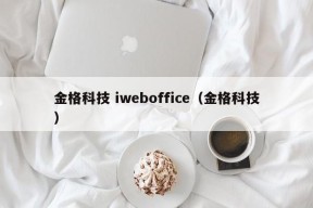 金格科技 iweboffice（金格科技）