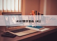 4107数字吉凶（41）