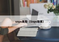 snps美股（Snps股票）