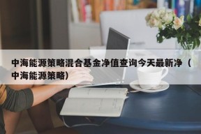 中海能源策略混合基金净值查询今天最新净（中海能源策略）