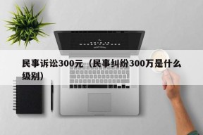 民事诉讼300元（民事纠纷300万是什么级别）