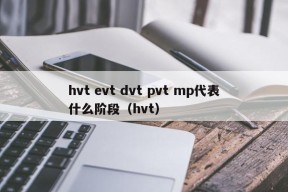 hvt evt dvt pvt mp代表什么阶段（hvt）