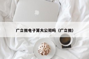 广立微电子算大公司吗（广立微）