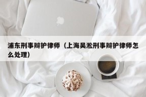 浦东刑事辩护律师（上海吴淞刑事辩护律师怎么处理）