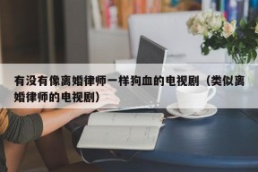 有没有像离婚律师一样狗血的电视剧（类似离婚律师的电视剧）