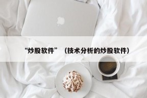 “炒股软件”（技术分析的炒股软件）