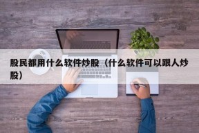 股民都用什么软件炒股（什么软件可以跟人炒股）