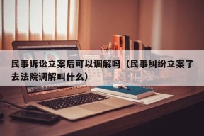 民事诉讼立案后可以调解吗（民事纠纷立案了去法院调解叫什么）