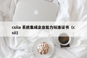 csiia 系统集成企业能力标准证书（csii）