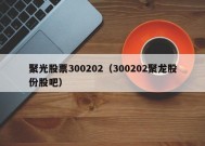 聚光股票300202（300202聚龙股份股吧）