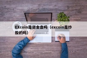 EXcoin是资金盘吗（excoin是炒股的吗）