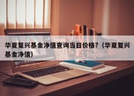 华夏复兴基金净值查询当日价格?（华夏复兴基金净值）