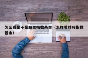 怎么看是不是股票指数基金（怎样看炒股指数基金）